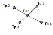 Figure 1: Network in the form of a star